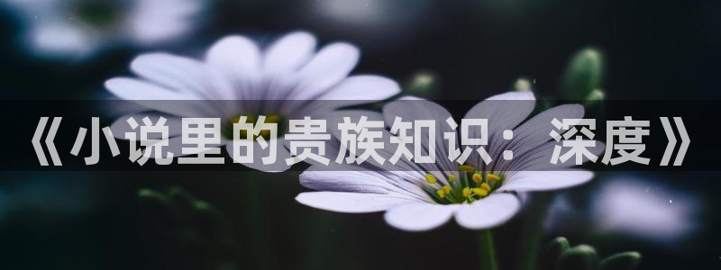 一点文学txt