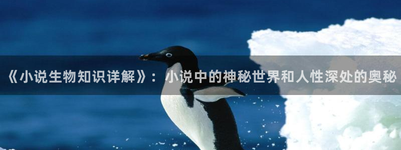 一点文学txt